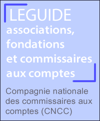 Guide associations fondations et commissaires aux comptes
