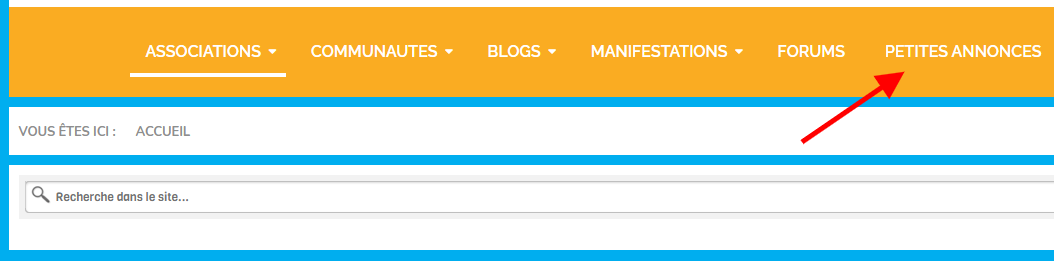 petites annonces www.lesitedesassociations.fr