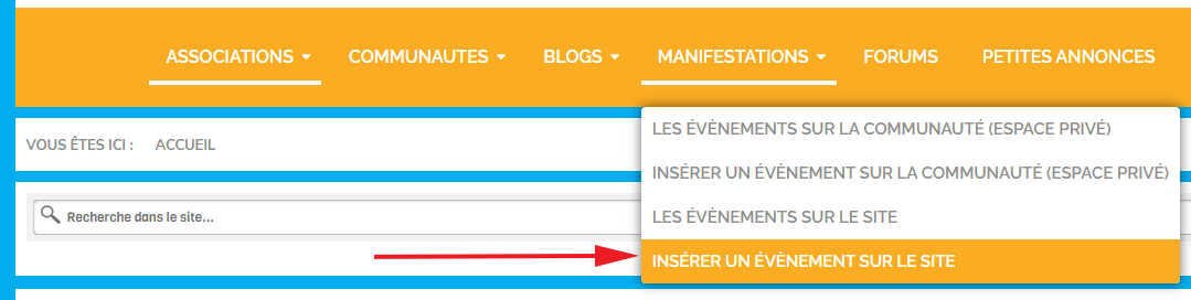 manifestations lesitedesassociations.fr